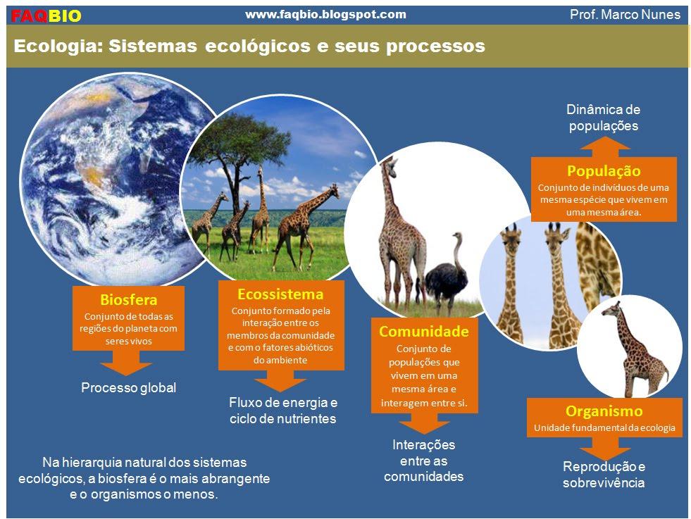 Processos Ecológicos: Redefinindo ‌a Produção na Indústria da Moda